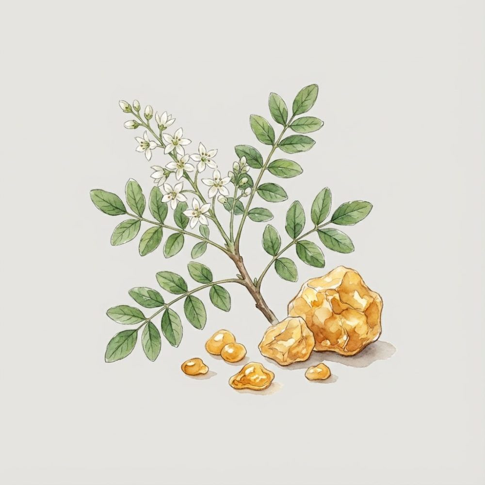 フランキンセンス